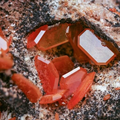 Outpace Ransomware Operators with ThreatVision Cybercrime Intelligence